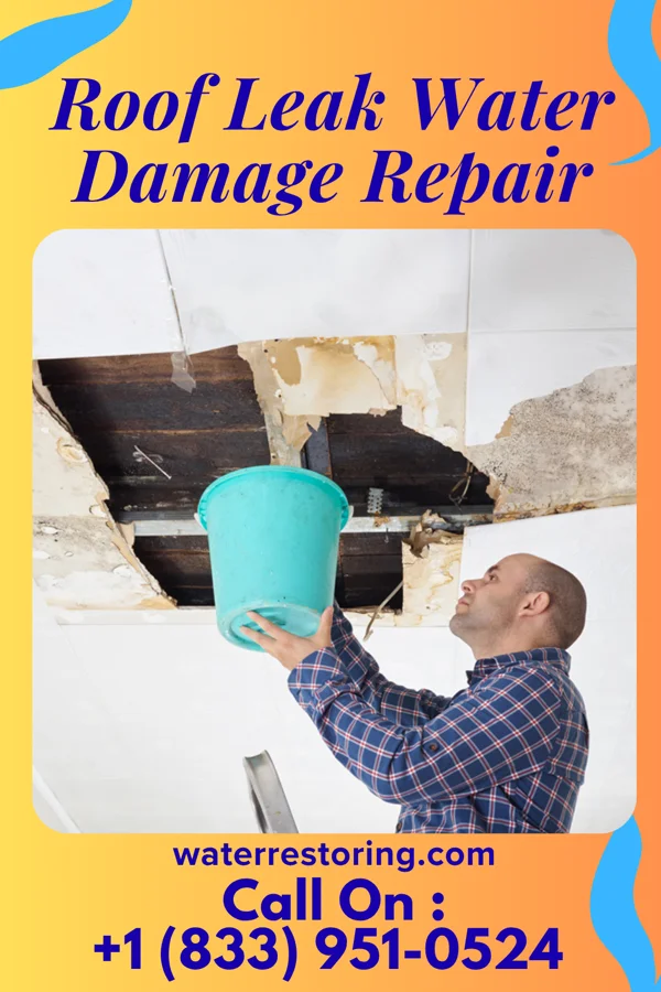 Roof Leak Water Damage Repair in Berry College, GA