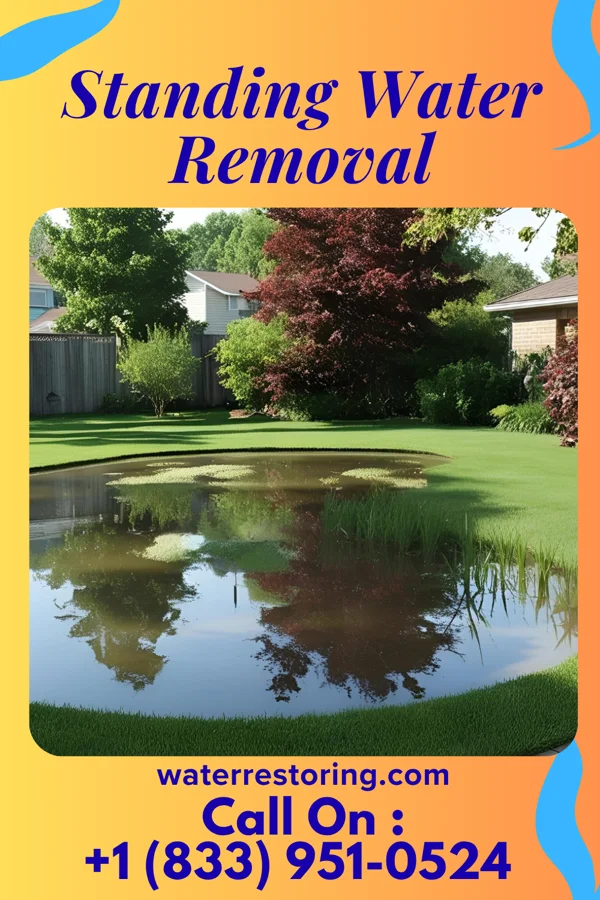 Standing Water Removal in Berry College, GA